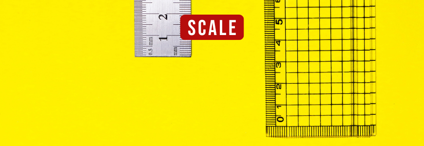 Scale